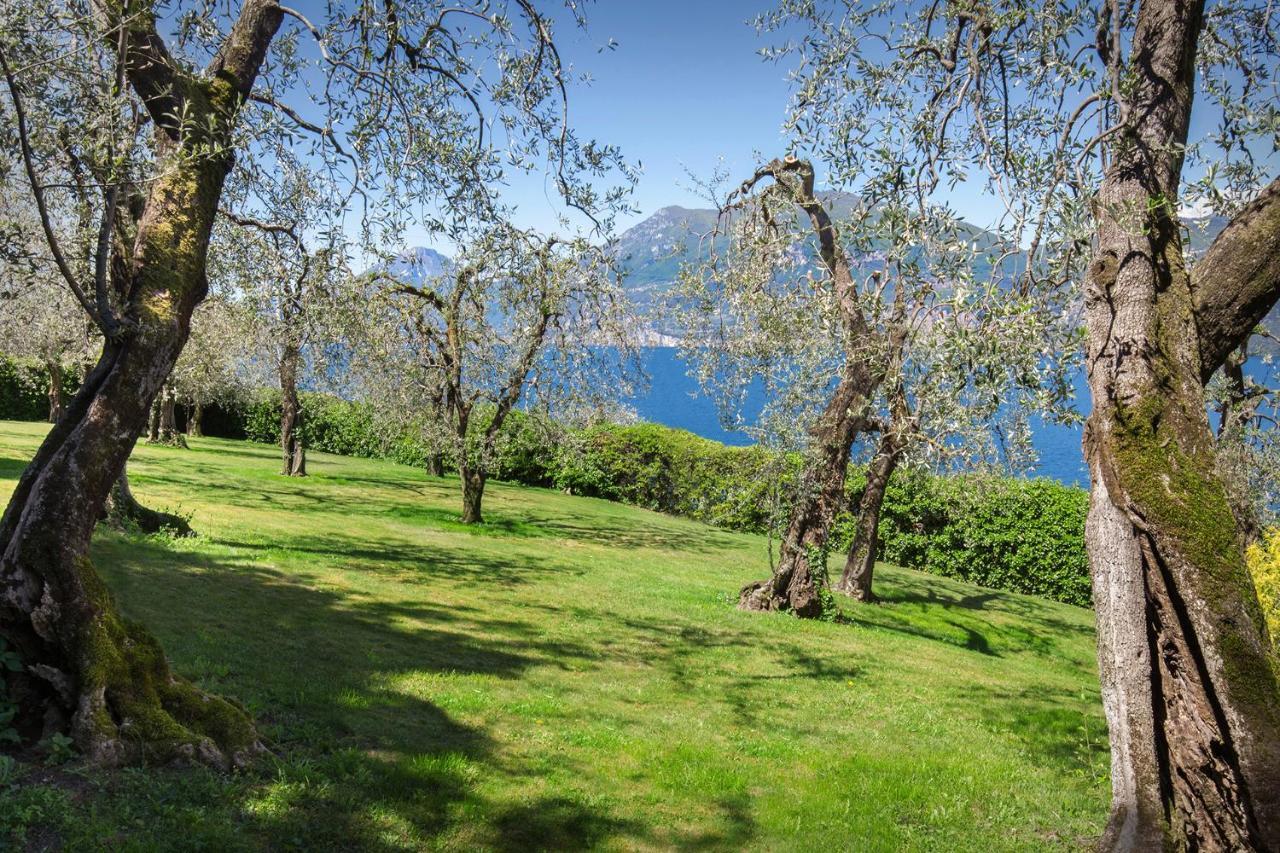 Villa Dismero-Un Oasi Di Lusso E Privacy Brenzone sul Garda Exterior foto